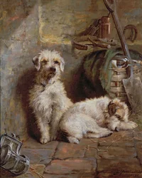 Tallitoverit, 1898